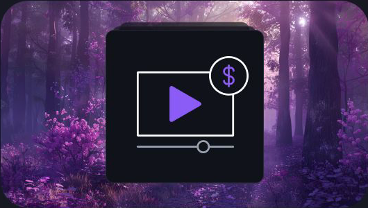 Media monetization interface